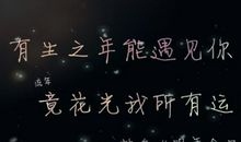 经典语录：遇到你，花光了我此生的运气