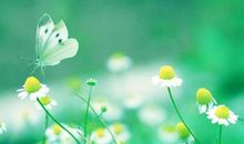 早安心语：你要的不是我，心碎的失去轮廓