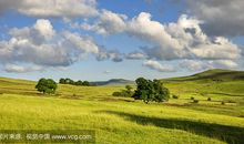 描写田园风光的好句