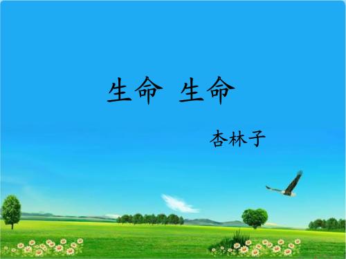 杏林子行情