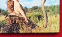 读《我的野生动物朋友》有感