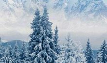 丰子恺：初冬浴日漫感