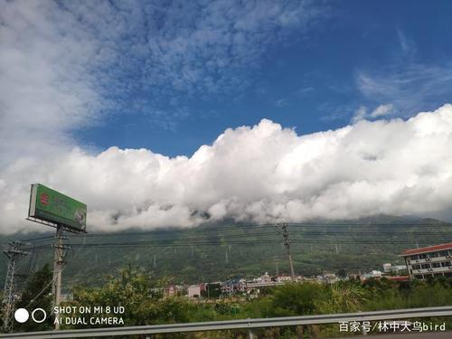 不可预测的