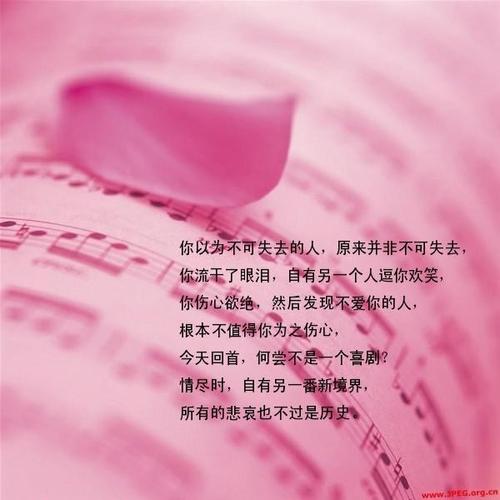 爱情语录