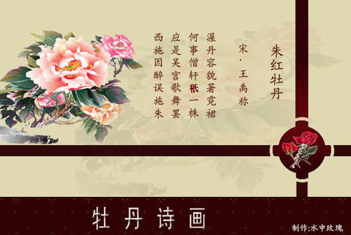 描写牡丹花朵的诗