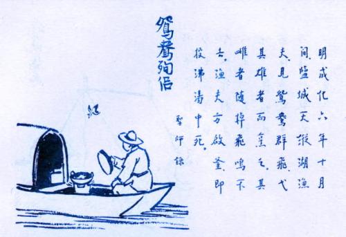 冯子凯：向致敬