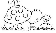 写动物作文：可爱的小乌龟