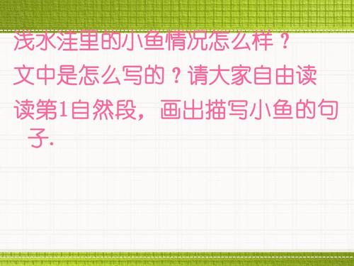 读《这条小鱼在乎》后的感想
