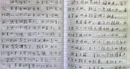 写作作文：我的新老师