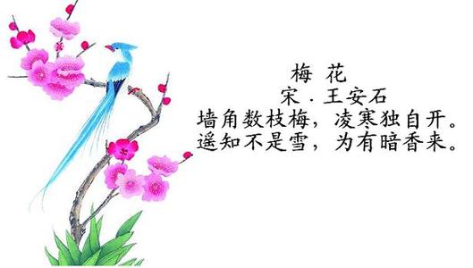 关于梅花的诗