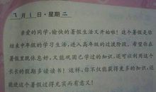 我学会了煎鸡蛋作文