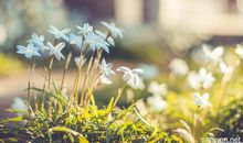 关于青春的优美语段