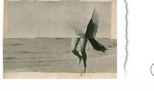 25岁的北漂白领小王觉得自己活得很庸俗