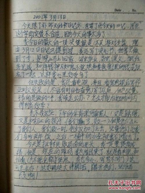 中学日记