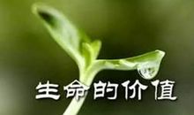 关于生命的段落