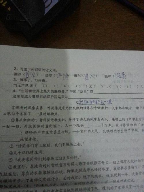 波希米亚人
