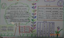 关于人间真情的好句好段