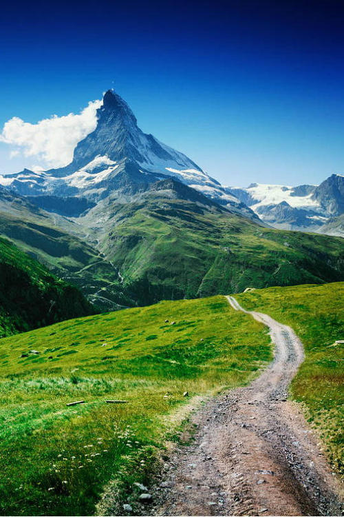 经典语录：所有意外的遭遇都在路上