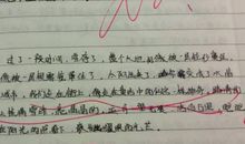 关于夏的优美语句