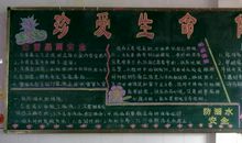 关于生命的语段