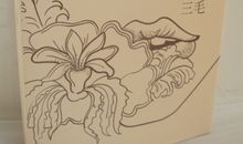 三毛作品_三毛散文集