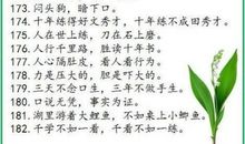 国外流传的“中国谚语”