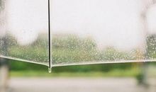 描写夏天校园的段落