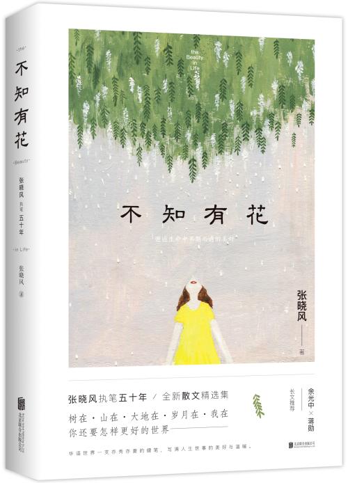 张晓峰：我喜欢