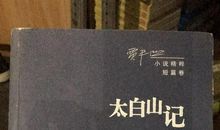 贾平凹：延安街市记