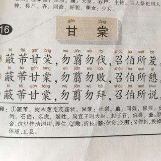 诗经：甘棠