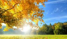 昆明的秋天作文