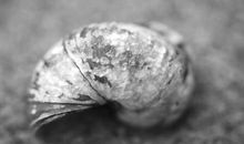 抚慰心灵的语句