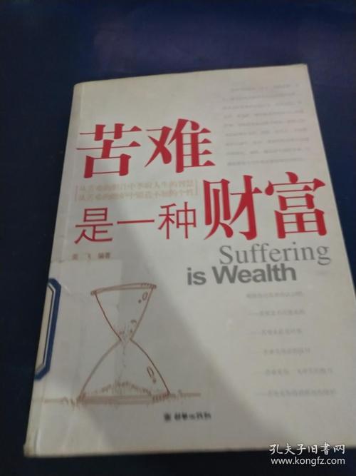 让我们谈谈黄怒波的演讲：苦难是一种财富