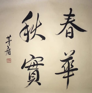 茅盾的名言