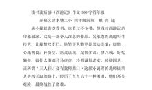 西游记读后感300字