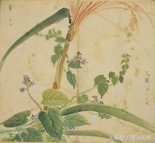 诗经：邢伟