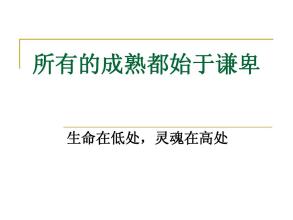 阅读“在低处”后的感觉-傻瓜并不傻