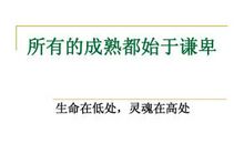 《在低处》读后感——愚者不愚