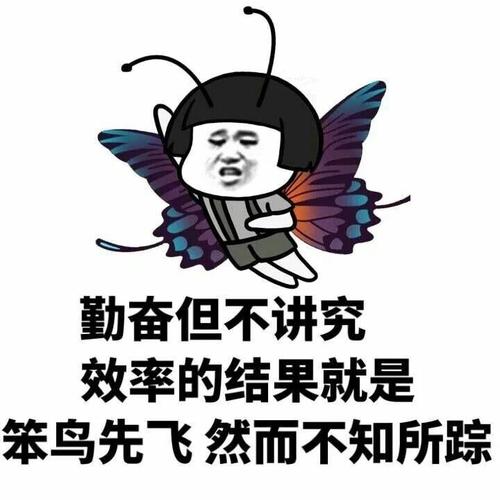 愚蠢的鸟儿首飞