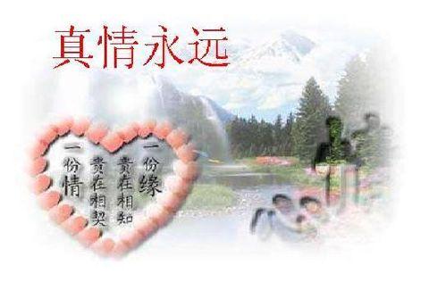 忠诚度