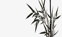 北京《中华竹韵》音乐会观后感