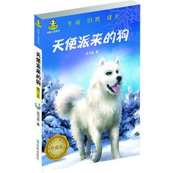看完天使送来的狗后400字