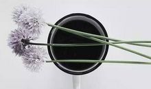 生活的考验,是命运的另一种成全