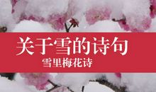 跟雪有关的诗句