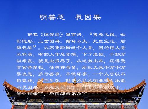关于因果的名言