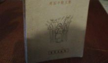 周国平：自我二重奏