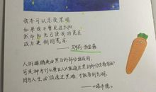 摘抄关于青春的优美句子