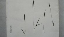 周国平：宽松的婚姻