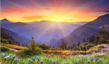 生活没有如果,只有后果和结果