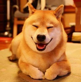 新年快乐留言